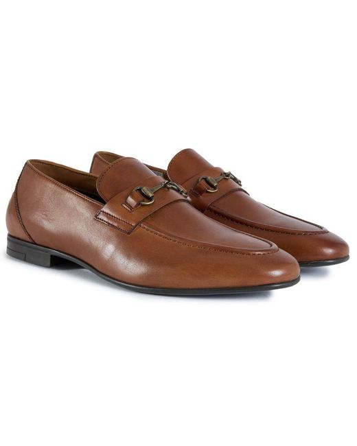 Soletrader Brown Larry Loafer Shoes for men
