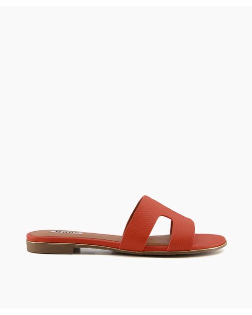 Dune Red Ladies Loopers