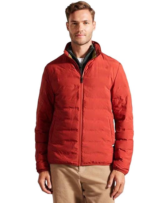 Ted Baker Red Ted Baker for men