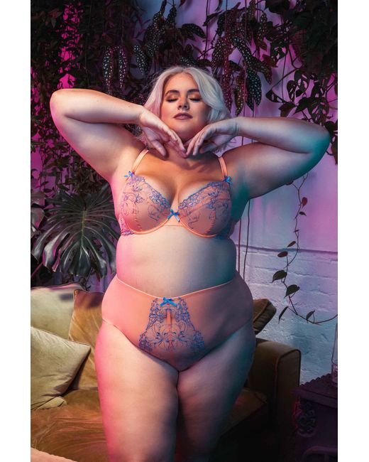 Playful Promises Black Felicity Hayward X Pp Palm Bay Embroidery High Waist Brief