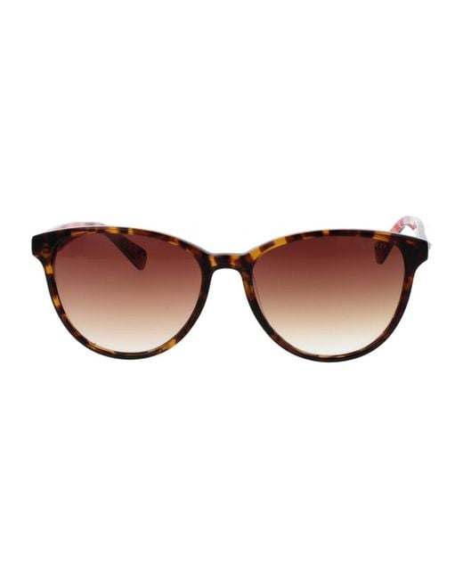Ted Baker Brown Tb1763 57119 57 119 Sunglasses