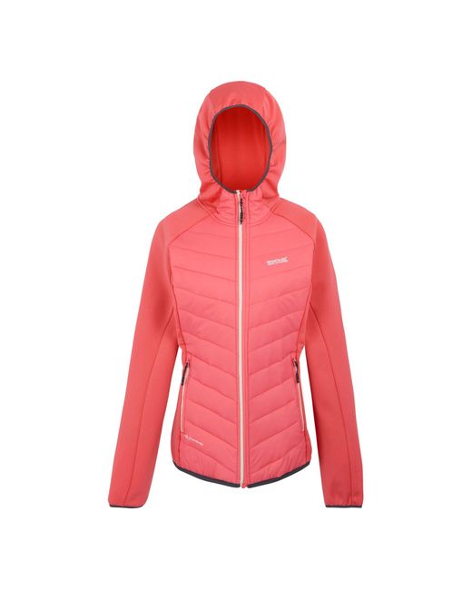 Regatta Pink Ladies Andreson Viii Hybrid Jacket Bloom/Seal)