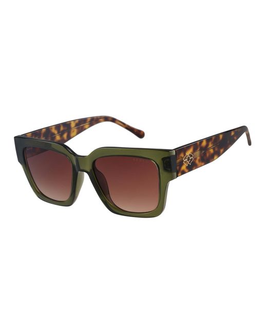 Radley Brown Square Tortoise Gradient Rds-6532
