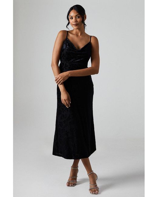 Debut London Black By Coast Devore Cowl Neck Midi Dress