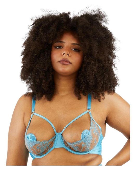Playful Promises Blue Cassia Nipple Pasties