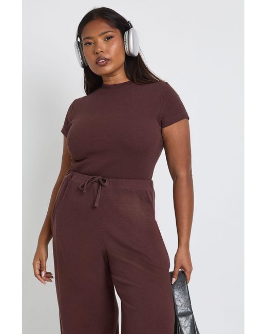 Boohoo Purple Plus Basic Rib Short Sleeve Fitted Top