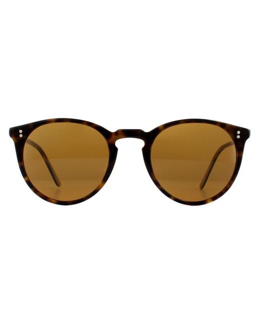 Oliver Peoples Brown Round Horn Sunglasses for men