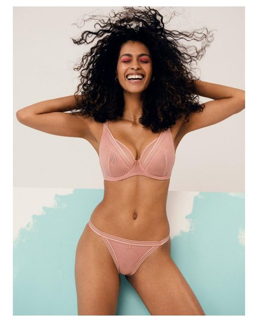 Freya Brown Tailored High Apex Plunge Bra