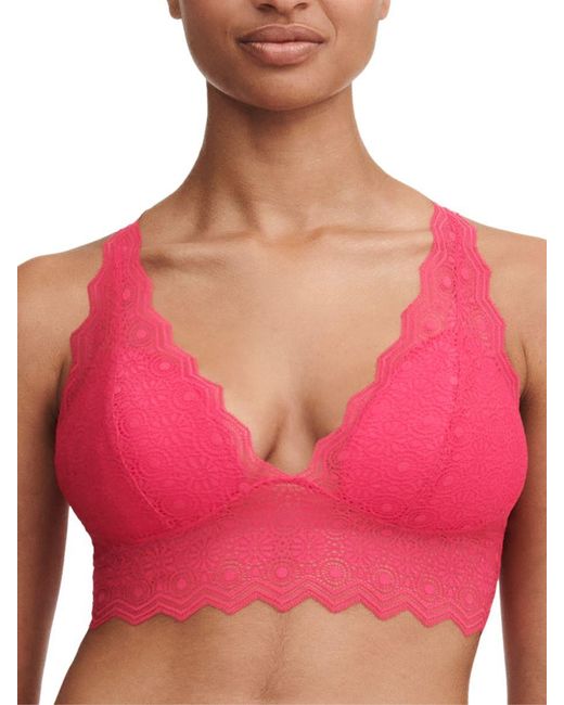 Passionata Pink Georgia Padded Bralette