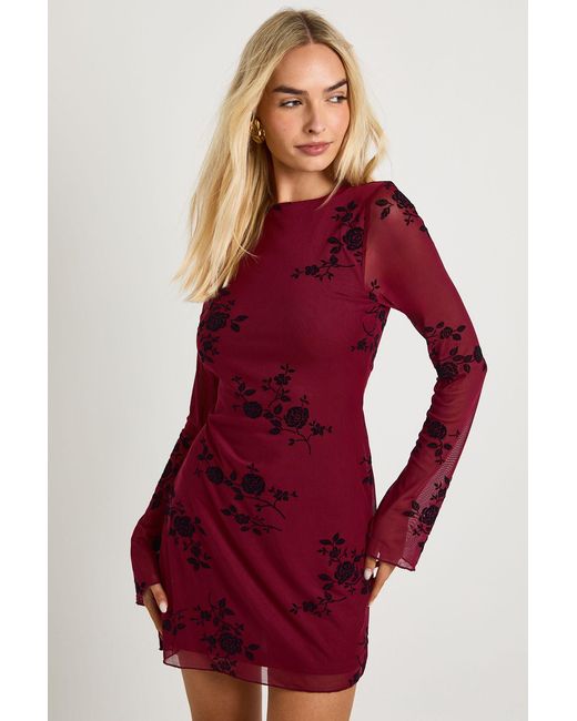 Boohoo Red Devore Flare Sleeve Mini Dress