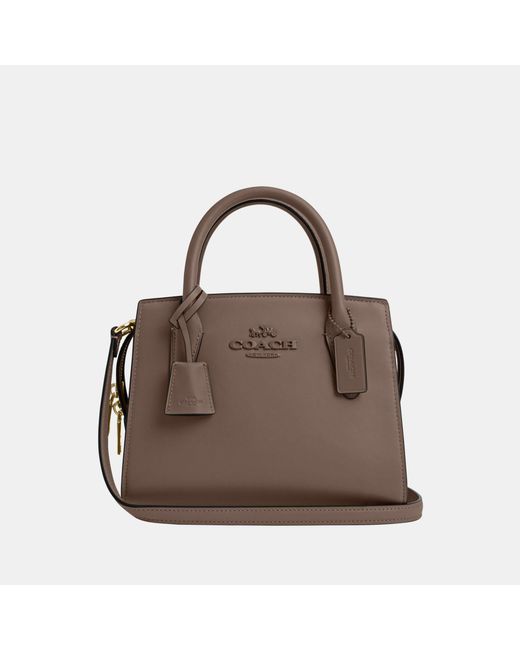 COACH Brown Smooth Leather Andrea Carryall With Tonal Hardware Bag