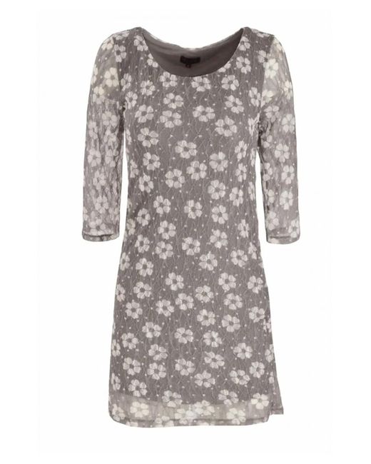 Phase Eight Gray Lace Daisy Print Dress