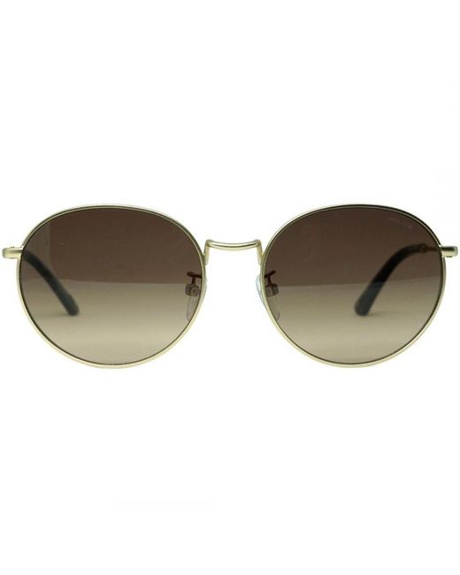 Police Brown Spl386G 648X Sunglasses Metal (Archived) for men