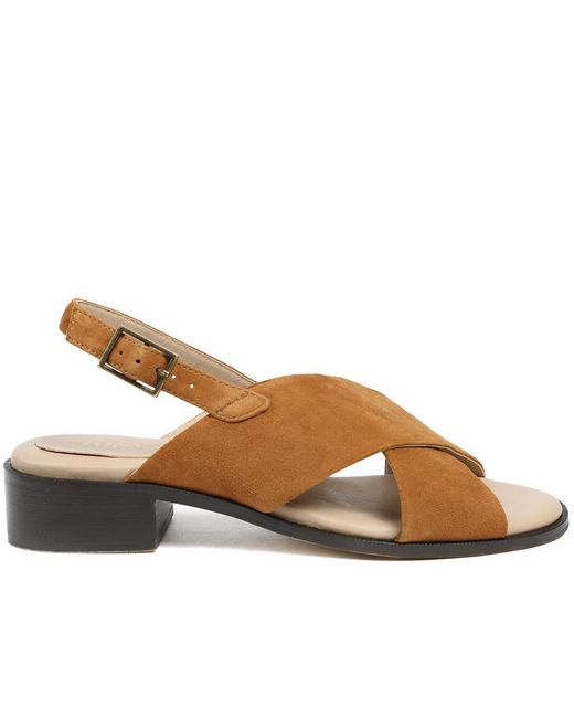 Jones Bootmaker Brown Fauna Leather Block Heel Sandals