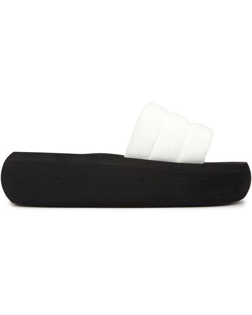 Rocket Dog Black Splash Sandals