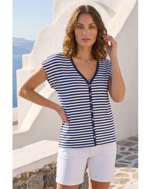 Roman Blue Petite Stripe V-Neck T-Shirt