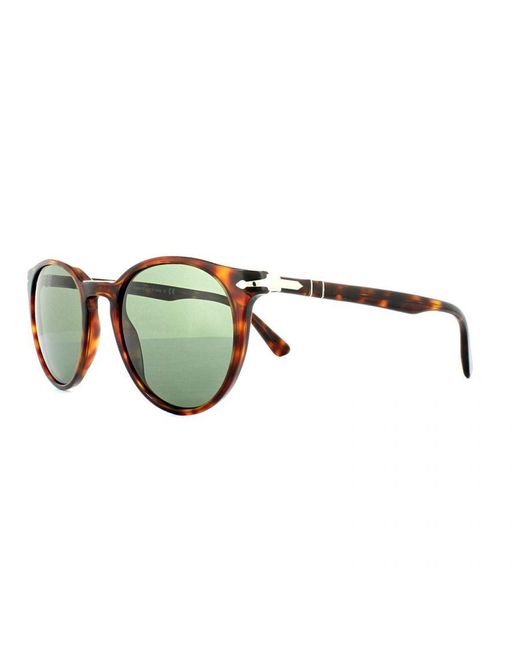 Persol Green Sunglasses 3152 9015/31 Havana for men