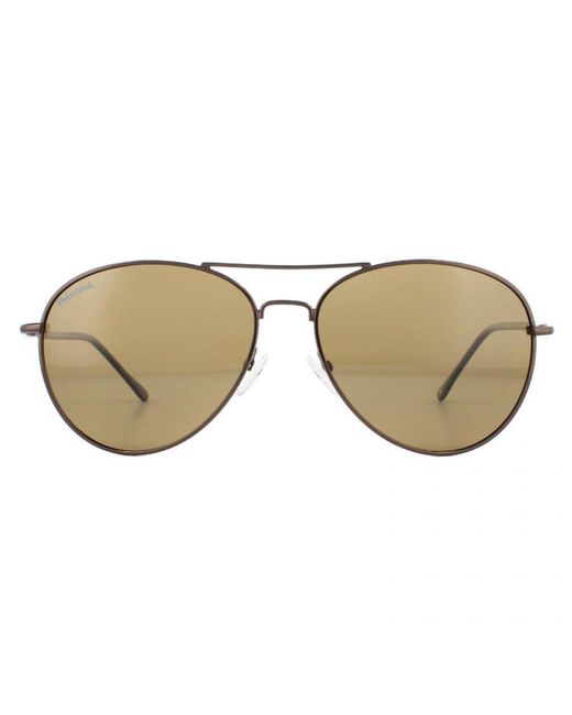 Montana Brown Sunglasses Mp95 B Bronze Flex Polarized Metal
