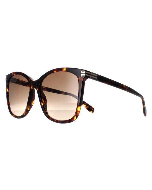 Marc Jacobs Brown Butterfly Havana Gradient Mj 1106/S