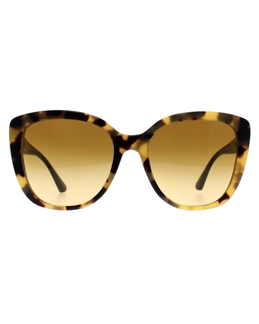 Emporio Armani Brown Butterfly Shiny Havana Light Gradient Ea4214U