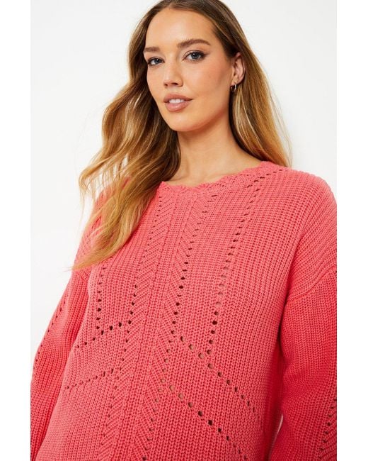 Oasis Red Scallop Edge Pointelle Sweater