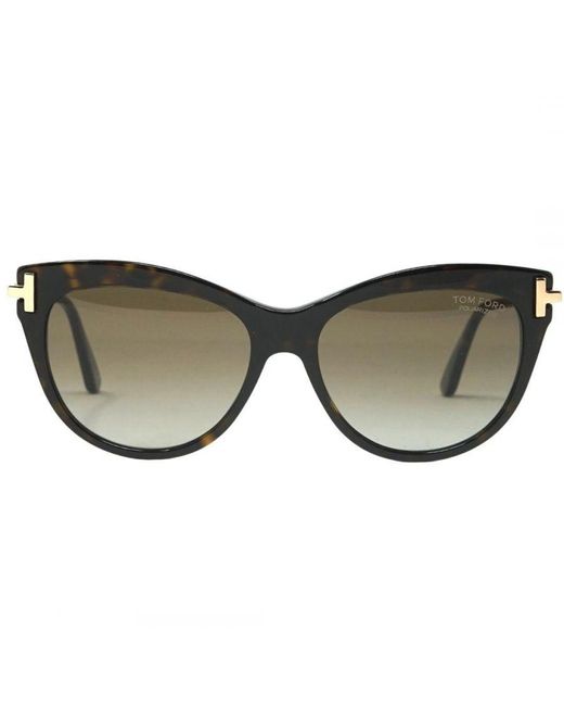 Tom Ford Brown Kira Ft0821 52H Dark Havana Sunglasses