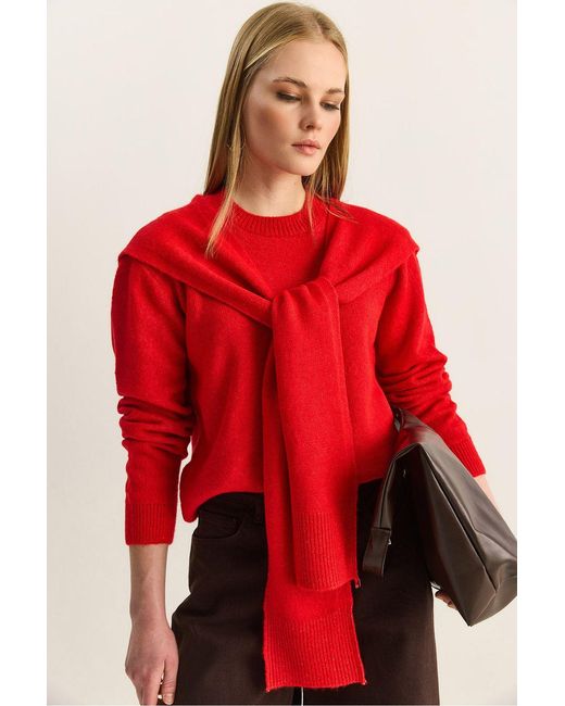 Bianco Lucci Red Regular Fit Crew Neck Ribbed Sweater
