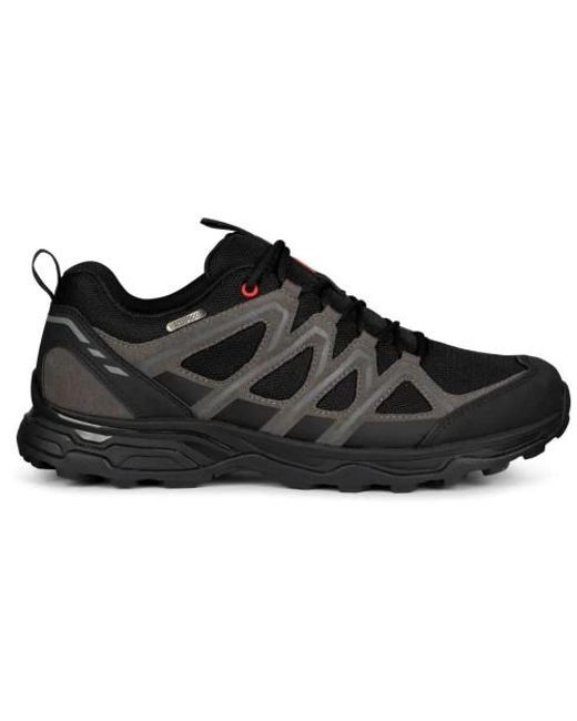 Trespass Herren Wanderschuhe "Carraig" Wildleder /Grau) in Black für Herren