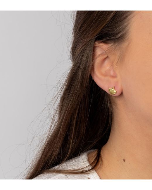 The Jewellery Stockroom Metallic Plated Fan Shaped Stud