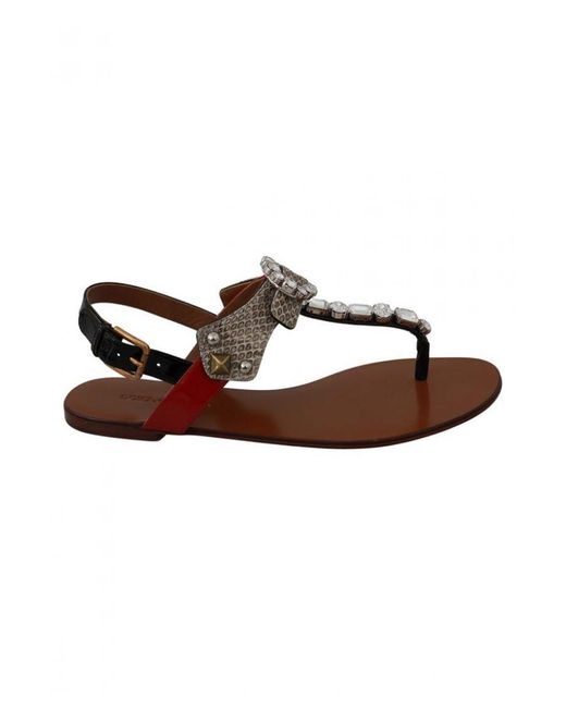 Dolce & Gabbana Brown Leather Ayers Crystal Sandals Flip Flops Shoes