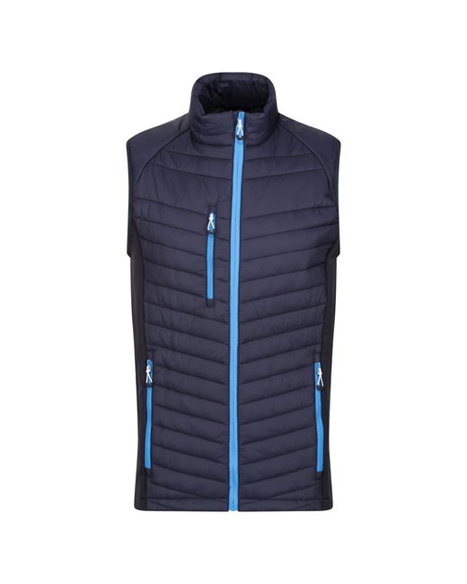 Regatta Blue Navigate Quilted Hybrid Gilet (/French) Material_Synthetic for men