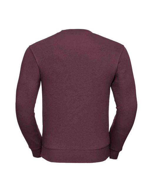Russell Purple Authentic Sweatshirt for men