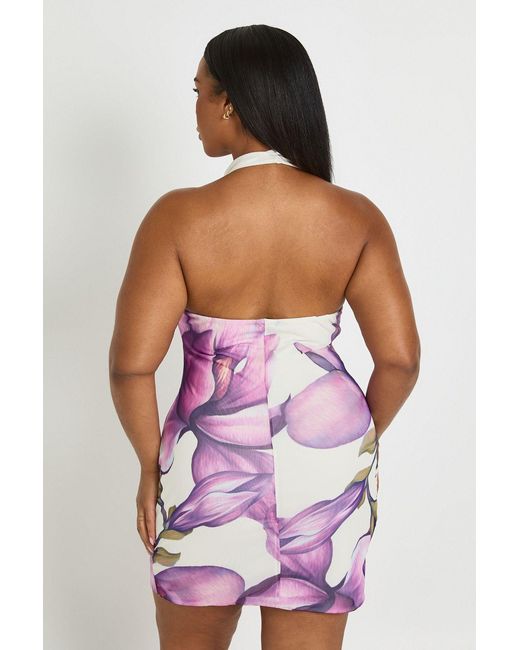 Boohoo Purple Plus Floral Mesh High Cowl Mini Dress