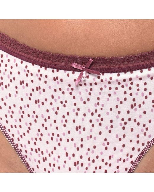 Janira Purple Pack Of 2 Coquettes Cotton Thongs 1030787 For