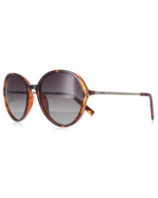 INVU Brown Round Demi Tortoise Polarized B2135 Metal