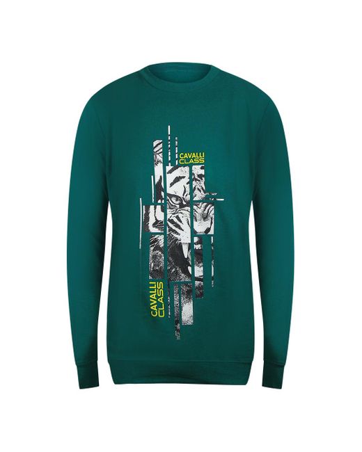 Roberto Cavalli Green Splintered Tiger Graphic Ottanio Sweatshirt Cotton for men
