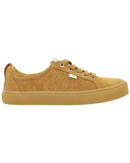 CARIUMA Brown Oca Low Plimsolls
