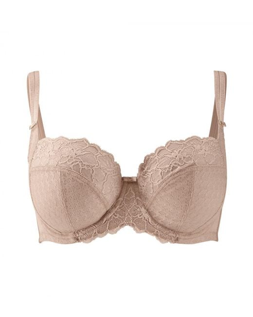 Panache Brown Envy Full Cup Bra