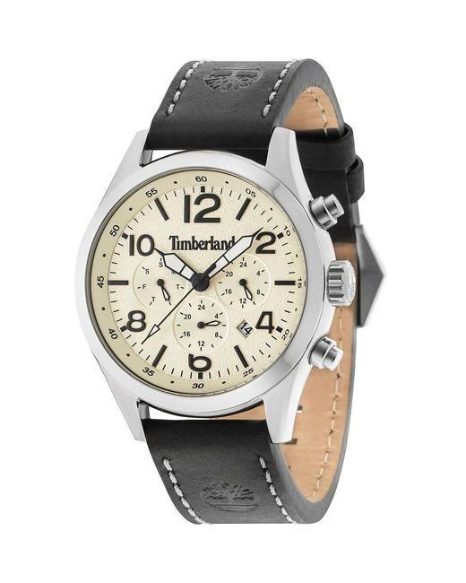 Timberland Metallic Horloge Ashmont Stainless Steel for men