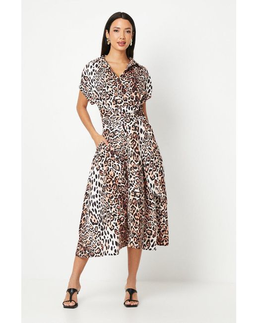 Wallis White Leopard Print Front Tie Shirt Midi Dress