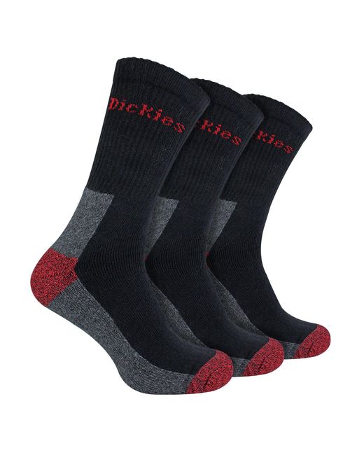 Dickies Blue 3 Pack Cushioned Work Socks for men