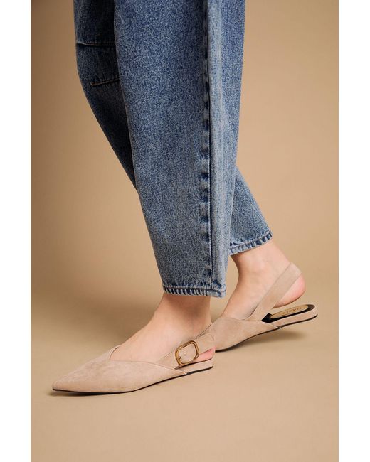 Oasis Blue Binx Faux Suede Slingback Pointed Flat Shoes