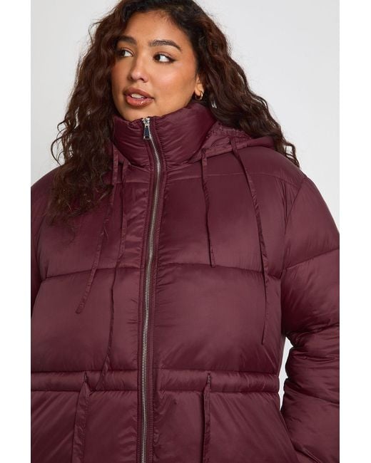 Boohoo Blue Plus Hooded Cinched Waist Puffer Jacket