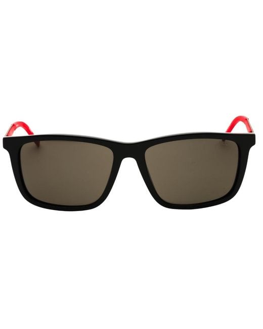 Boss Brown Legs Sunglasses for men