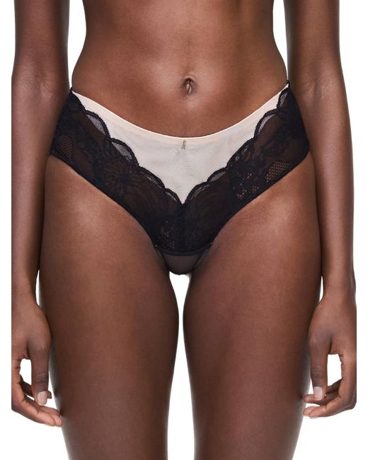 Chantelle Brown Midnight Flowers Shorty