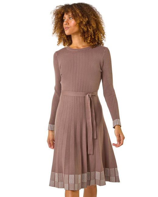 Roman Brown Ribbed Stretch Knit Border Print Dress