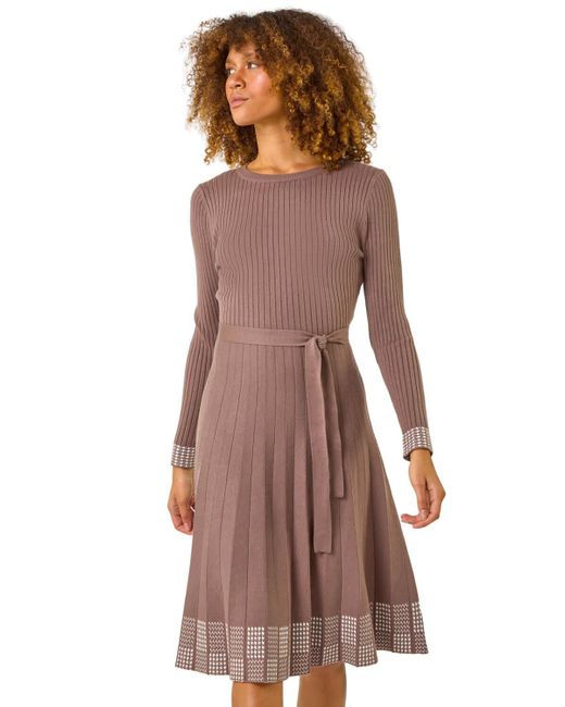 Roman Brown Ribbed Stretch Knit Border Print Dress