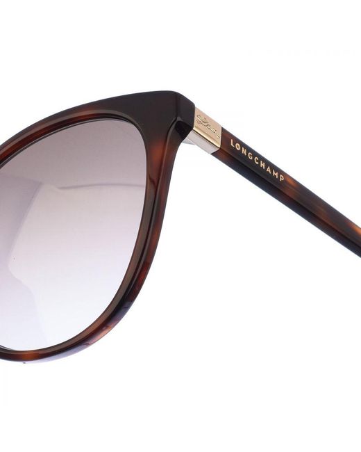 Longchamp Brown Lo688S Sunglasses