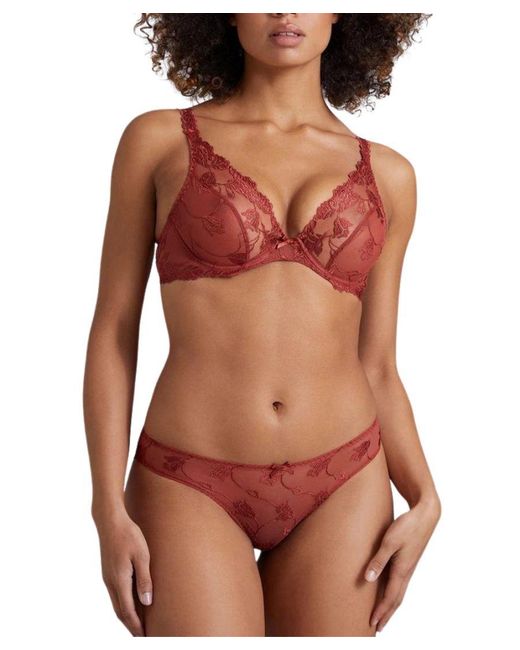 Aubade Softessence Underwired Triangle Bra