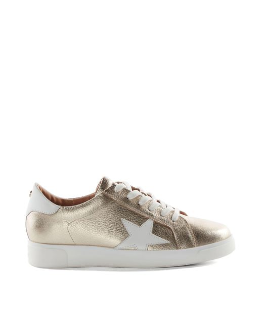 Dune Metallic Ladies Edriss